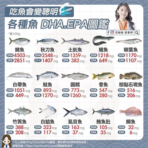 5行穿衣 魚類價格排行